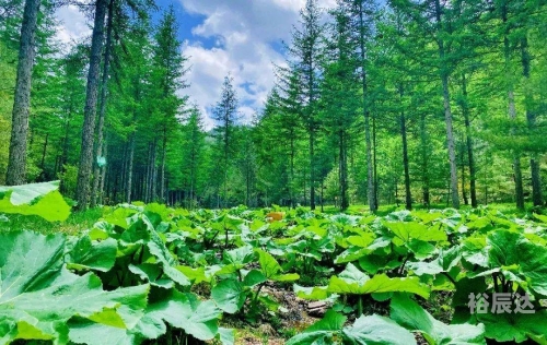 六月份去哪里旅游最合适六月份旅游最佳去处推荐