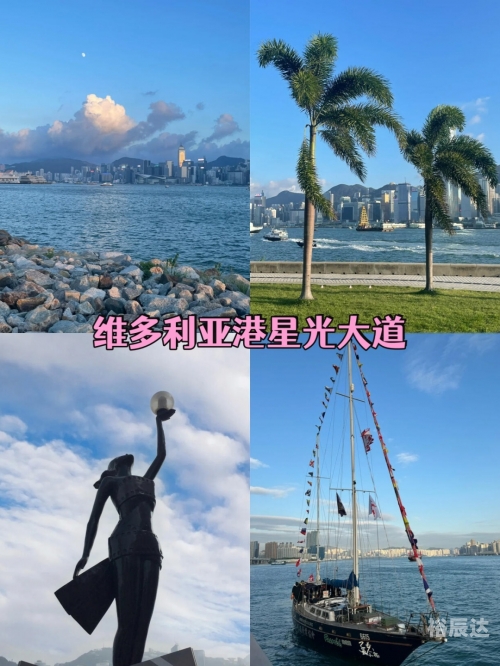 正宗香港内部资料网站正宗香港内部资料，探寻秘境-第2张图片