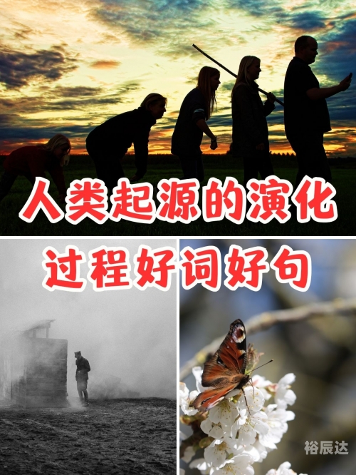 天机论坛天机论坛，探索智慧与思想的交汇之地-第2张图片