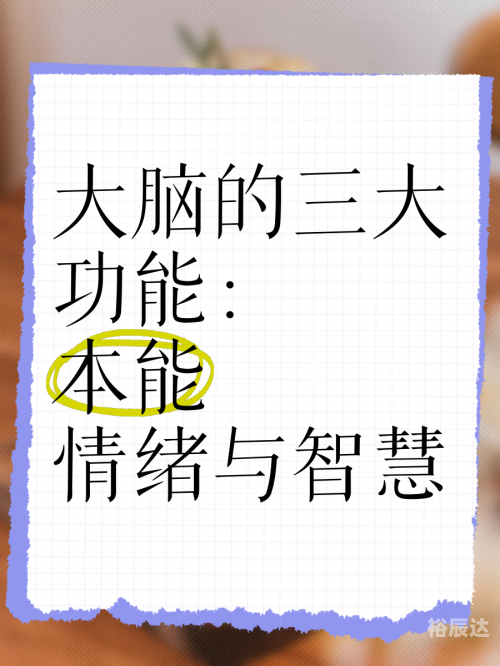 天机论坛天机论坛，探索智慧与思想的交汇之地