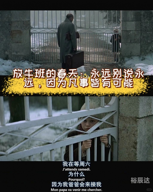 缘落韩娱，娱乐背后的情感与故事