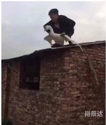 香港二四六开奖免费资料汕头六哥香港二四六开奖免费资料汕头六哥介绍-第2张图片
