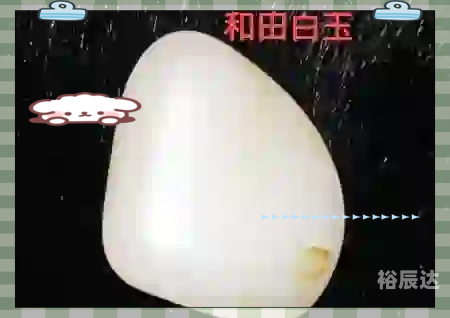 东陵玉属于什么档次的玉东陵玉属于高档玉石的范畴，是一种珍贵的宝石。东陵玉是一种具有独特魅力的玉石，其颜色丰富多样，包括白色、绿色、灰色等，质地细腻，光泽温润，深受人们喜爱。-第1张图片