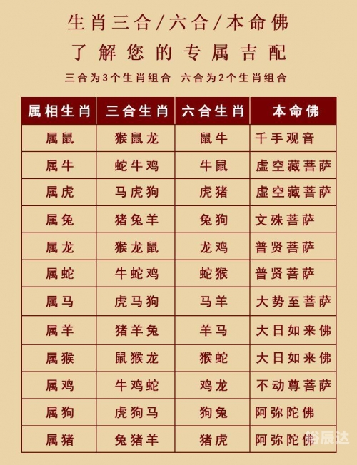 2024最新12生肖号码表2024最新12生肖号码揭秘