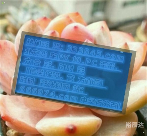 管家婆一码一肖，精准预测的神秘力量-第2张图片