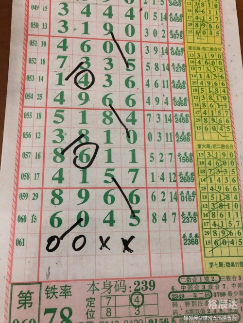 澳码精准100%一肖一码最准肖澳码精准100%一肖一码最准肖，揭秘精准预测-第2张图片