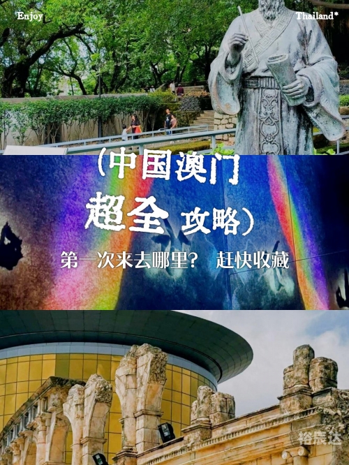 新澳门一肖一特一中新澳门，一肖一特一中，魅力无限