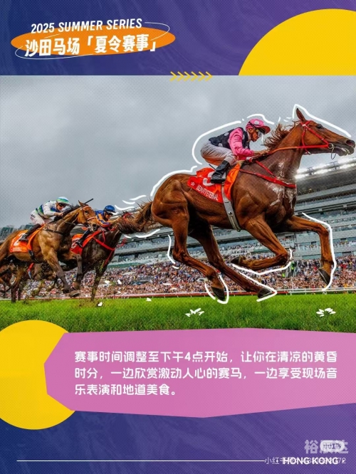 2023年香港正版资料大全2023年香港正版资料大全