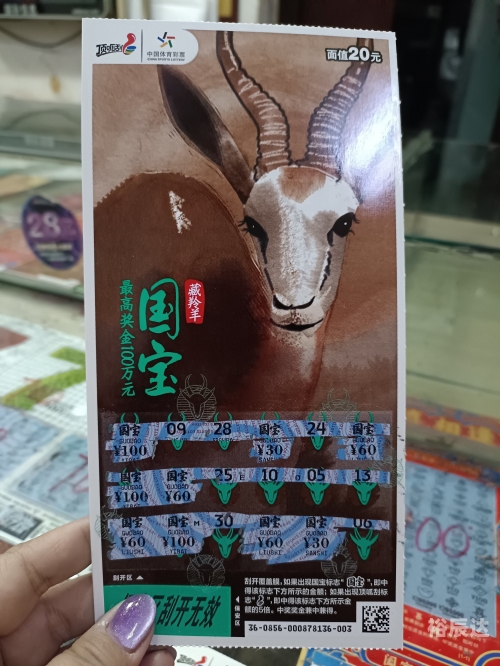 中国体育彩票综合版手机版中国体育彩票综合版，全面解析与展望-第3张图片