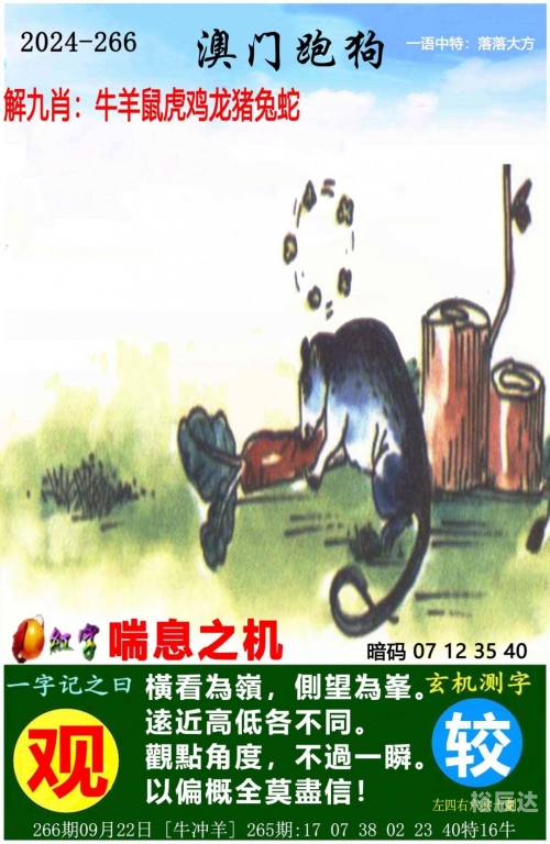 二四六天天好彩(944cc)正版二四六天天好彩(944cc)正版——美好生活的秘密武器-第2张图片