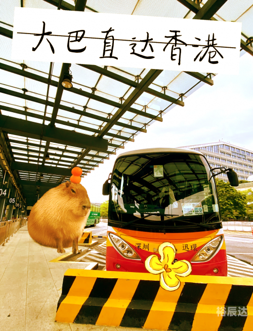 香港正版数码挂牌全揭秘-第1张图片