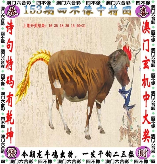 管家婆一肖一玛中特2023年展望-第1张图片