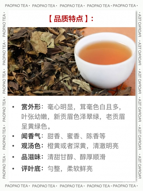 白茶最出名的是哪几种白茶最出名的几种-第1张图片