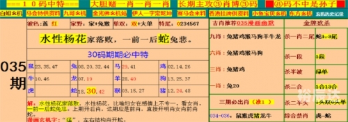澳门内部正版资料大全开奖记录澳门内部正版资料大全开奖记录概览