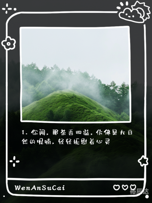 中茶茗品，品味中华茶文化-第1张图片