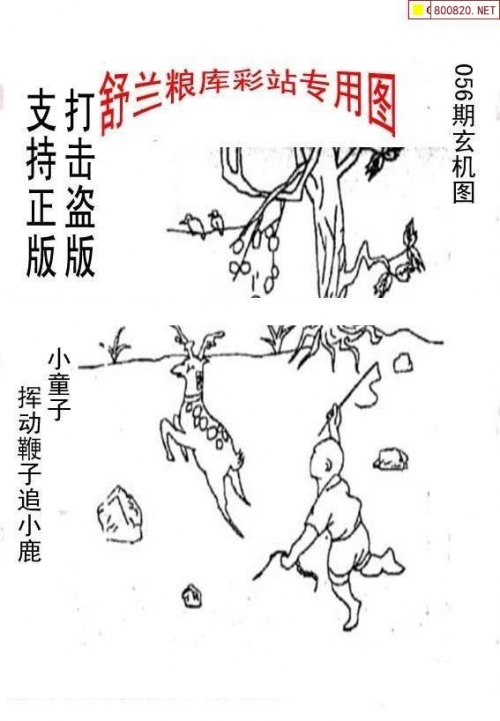 天齐网3d图谜天齐网3D图谜，探索神秘世界的一把钥匙-第1张图片
