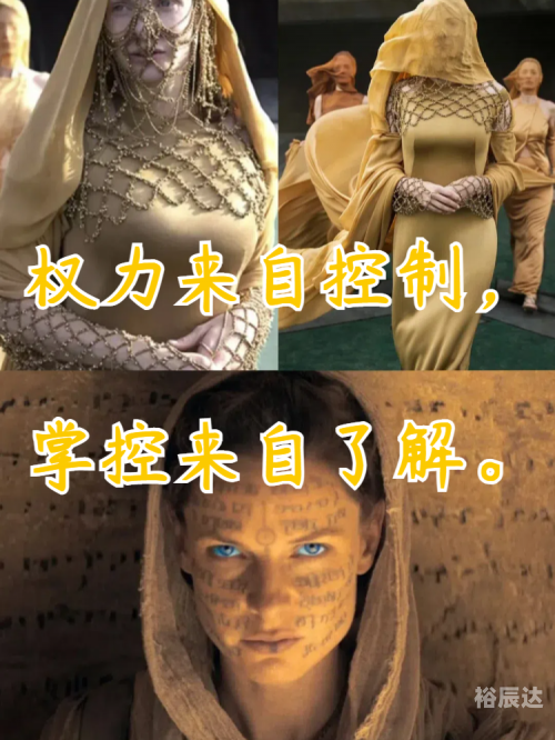 终极道终极道，探寻真理的智慧之路-第1张图片