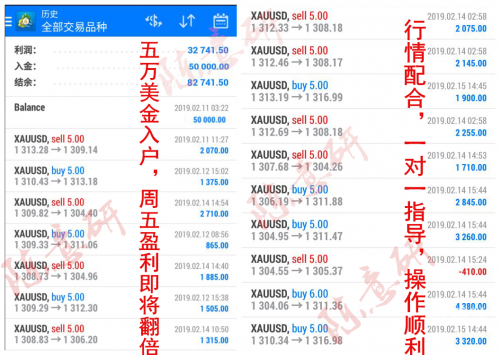 黄大仙精选，肖码之谜-第1张图片