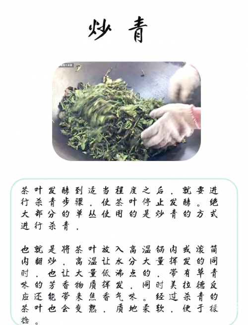茶叶卫生标准为国家强制性标准茶叶卫生标准与茶叶品质保障-第2张图片