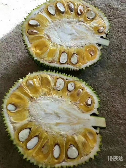 菠萝菠萝蜜手机网，探索科技新世界