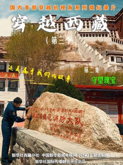 达娃次仁达娃次仁，高原上的智慧与坚韧-第1张图片