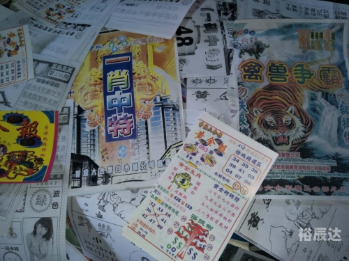 东方心经马报东方心经马报-第2张图片
