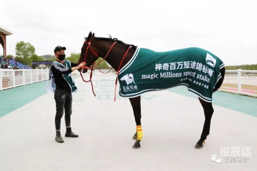 2019马会正版，正版之风引领行业新篇章
