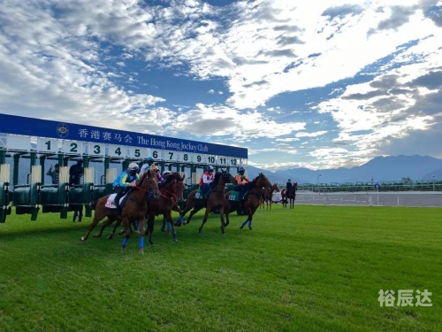2021年马会正版香港资料大全2021年马会正版香港资料大全-第2张图片