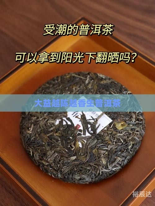 大益普洱茶功效大益普洱茶功效与作用