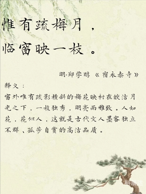 白荆回廊白荆回廊，时光的诗篇