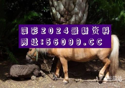 2021年澳门正版免费全年资料2024澳门精准正版免费大全-第2张图片