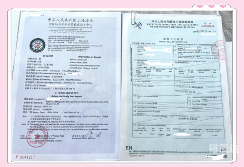 14天内有入境记录的阻止出境什么意思14天内有入境记录的阻止出境政策-第2张图片