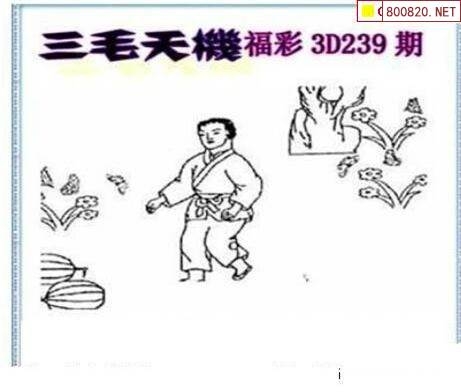 三毛图库3d三毛图库3D，探索数字艺术的新世界-第1张图片