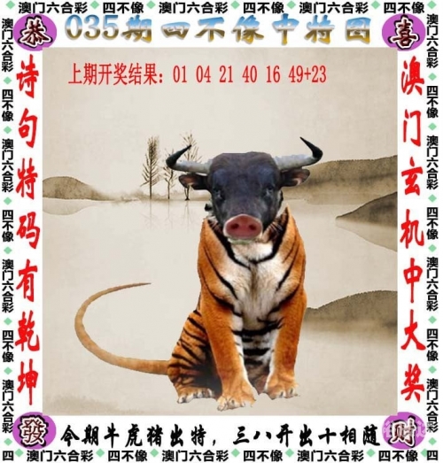 澳门天天开彩好资料，揭秘开奖号码-第1张图片