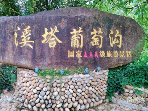 新疆葡萄沟，葡萄之乡的美景与风情