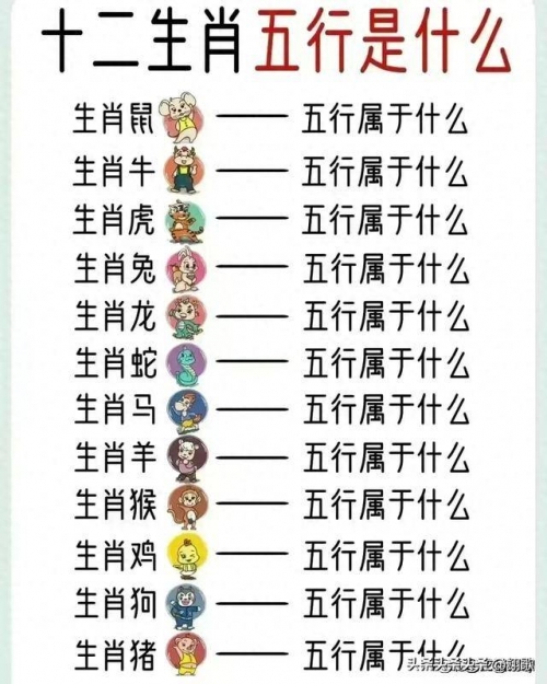 2024年12生肖49码图金木水火土2024年生肖49码图展望