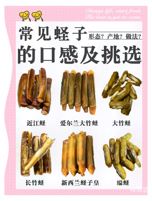 烹饪1-525攻略烹饪1-525攻略