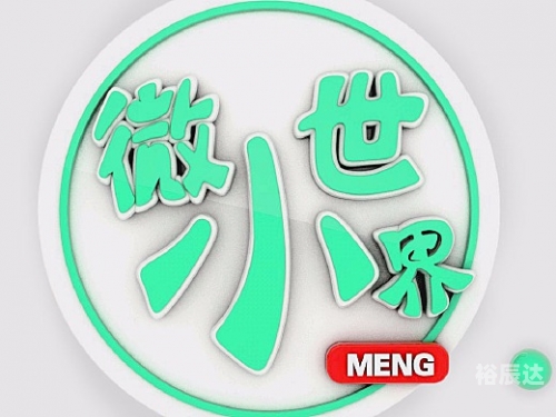 微小女友微小女友