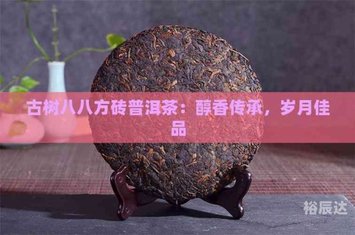 中国普洱茶中国普洱茶，千年传承的茶文化瑰宝