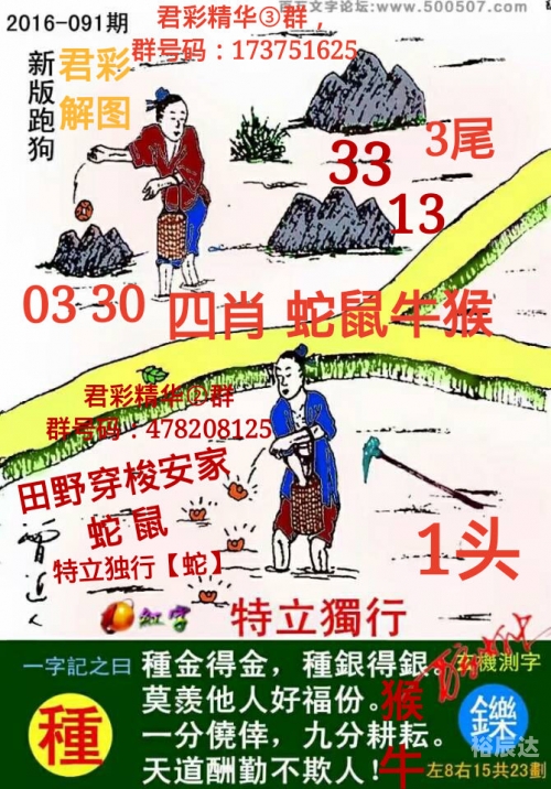 今晚的四不像生肖图
