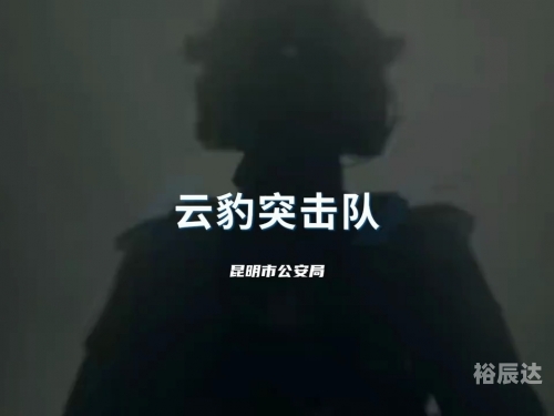 特警力量 magnet特警力量下载，安全与效率的双重保障