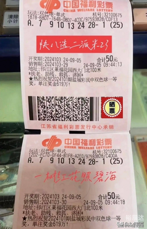 双色球霸主，彩票市场的传奇与影响