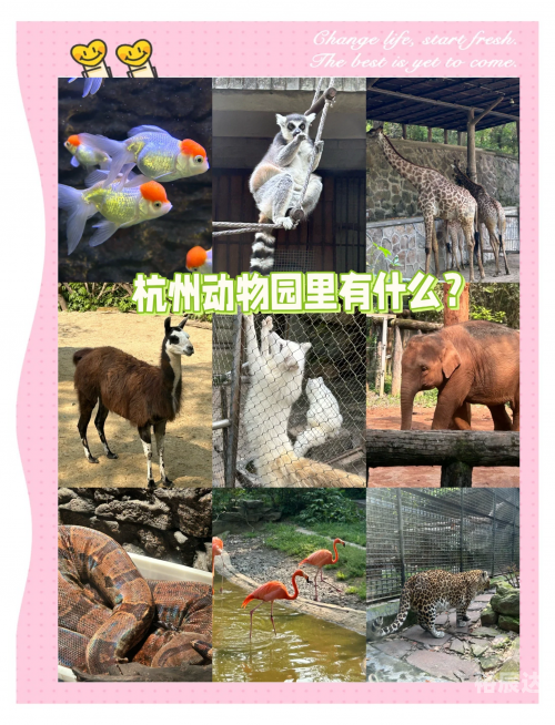 金华动物园金华动物园游记-第2张图片