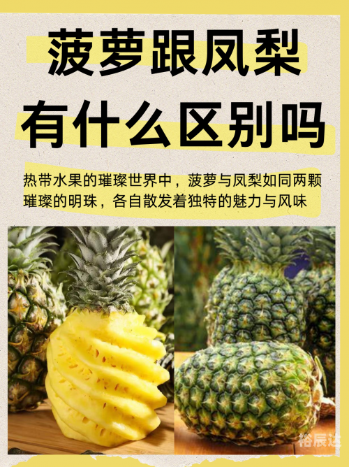 菠萝果，热带水果的魅力-第1张图片