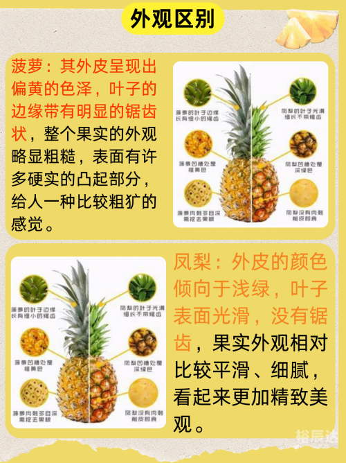 菠萝果，热带水果的魅力-第2张图片