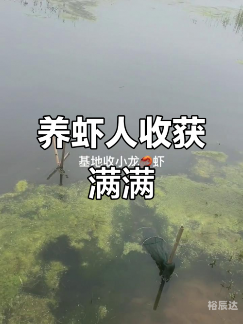 大丰收论坛大丰收论坛，收获满满-第2张图片