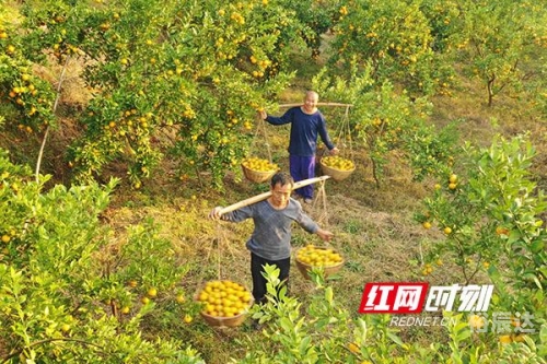 大丰收论坛大丰收论坛，收获满满