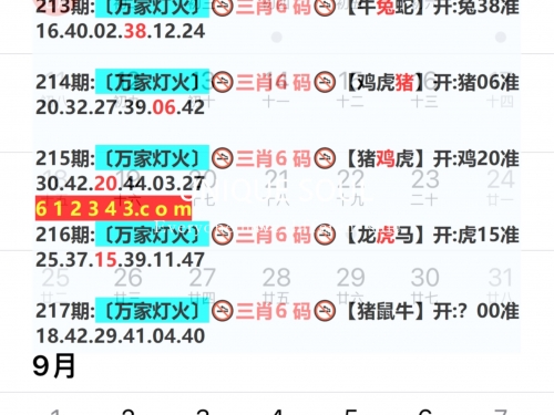 2024年今晚开奖结果查询2024年今晚开奖结果查询-第1张图片