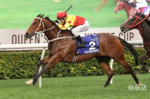 香港马赛马会最准资料香港马赛马会最准资料，探寻精准数据与策略-第3张图片