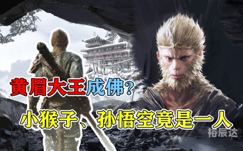 赶尽杀绝下载，深度解析与应对策略